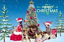 Load image into Gallery viewer, BGLWS Christmas Enamel Mug